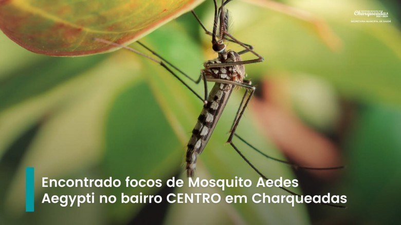 A Secretaria de Saúde - informa que foram identificados focos de mosquito Aedes Aegypti no bairro CENTRO.